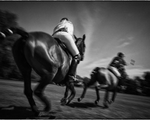 Gerald Y Plattner // Polo